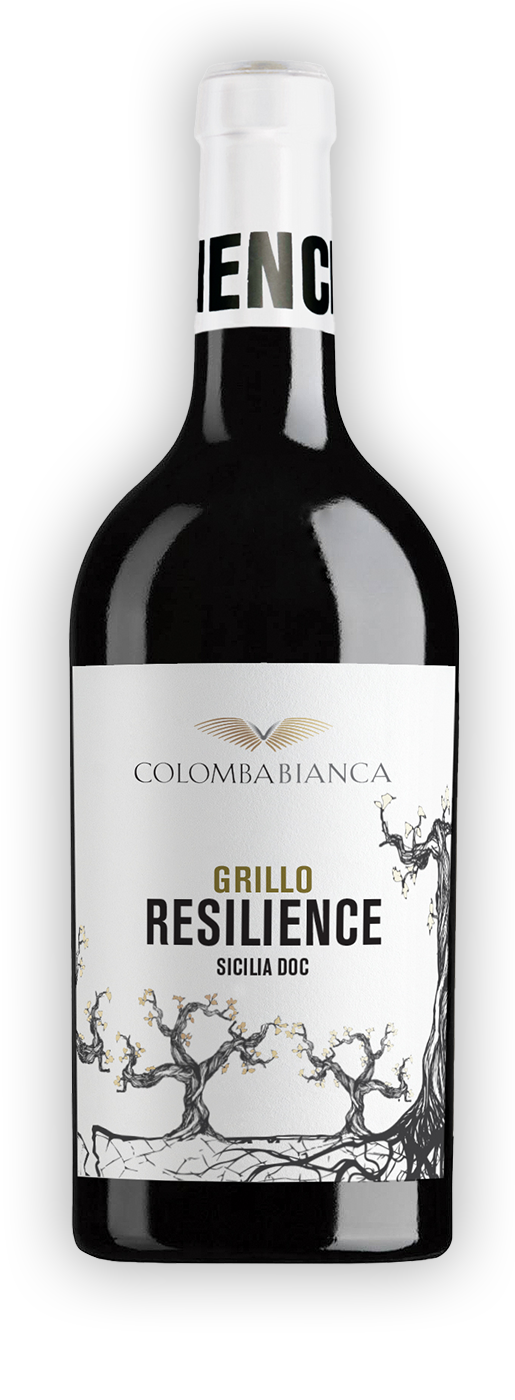 resilience_ombra-grillo_
