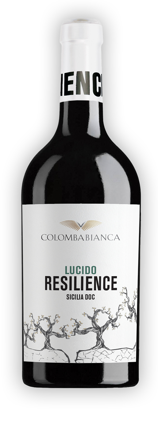 resilience_ombra-lucido_