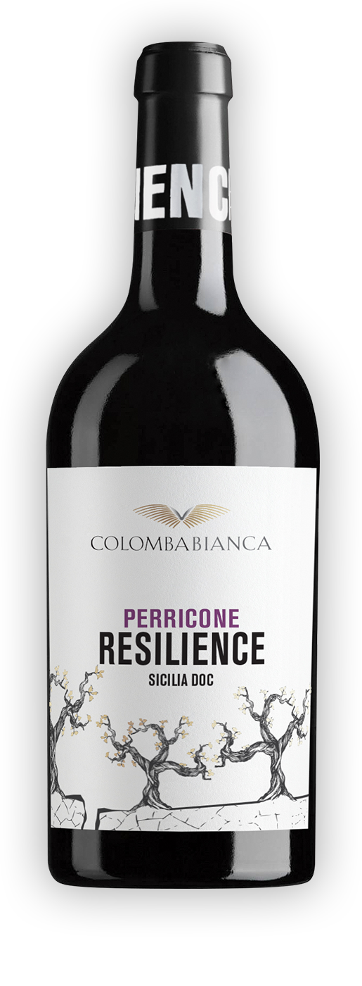 resilience_ombra-perricone_