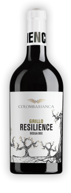 resilience_ombra-grillo_