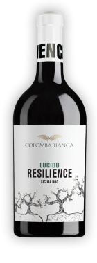 resilience_ombra-lucido_